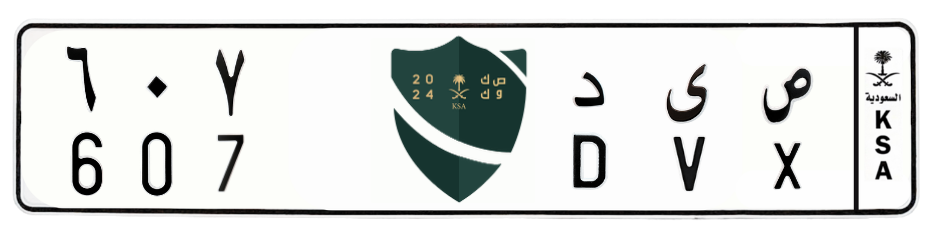 لوحة ص ى د 607